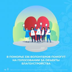 В Поморье 336 волонтеров помогут на голосовании за объекты благоустройства